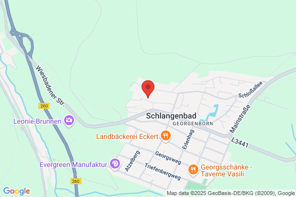Diers Geschäftsführung