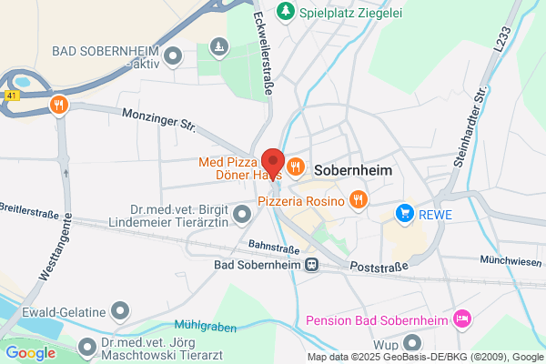 Omnibusverkehr Rhein-Nahe GmbH