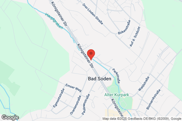 Duden Institut für Lerntherapie Bad Soden am Taunus