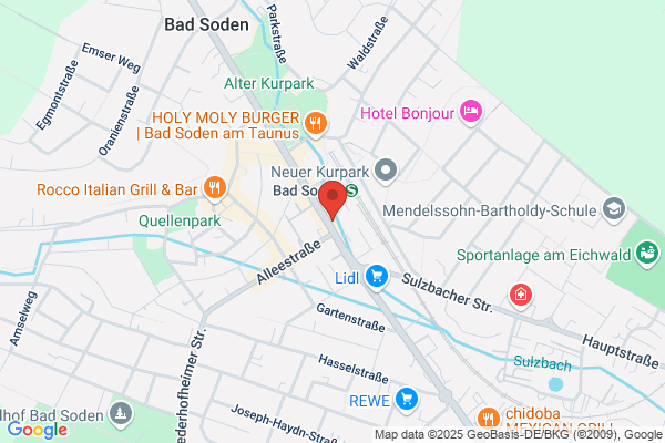 Internet Woldsoft Agentur Bad Soden