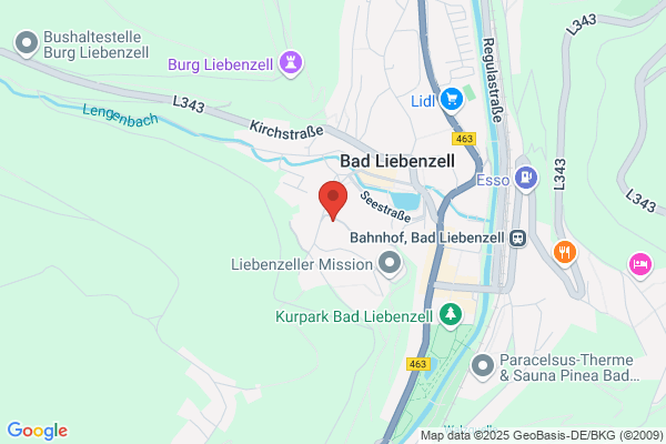 Internationale Hochschule Calw