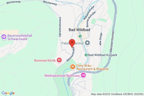 Hotel Bergfrieden