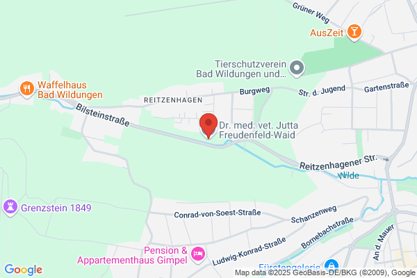 Dr. Jutta Freudenfeld-Waid