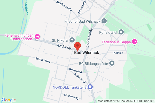Niesag