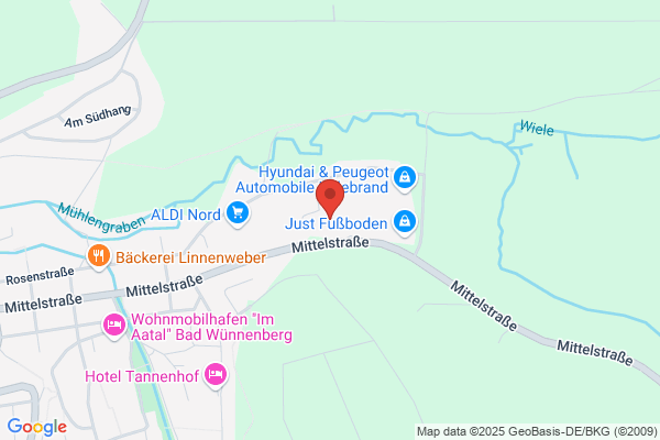 Transmed Medizintechnik GmbH & Co. KG