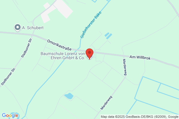 Ehren von Lorenz Baumschule GmbH & Co. KG