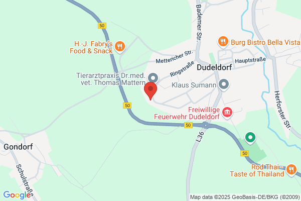 Sportverein Dudeldorf e.V.