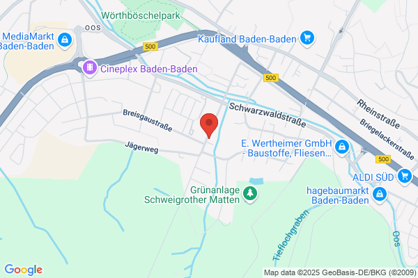 Prof. Dr. Heping Yuan Zentrum für Chinesische Medizin Baden Baden