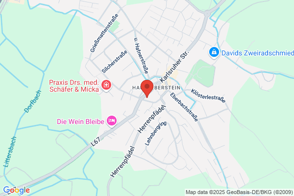 Bürkle Autohaus, Egon