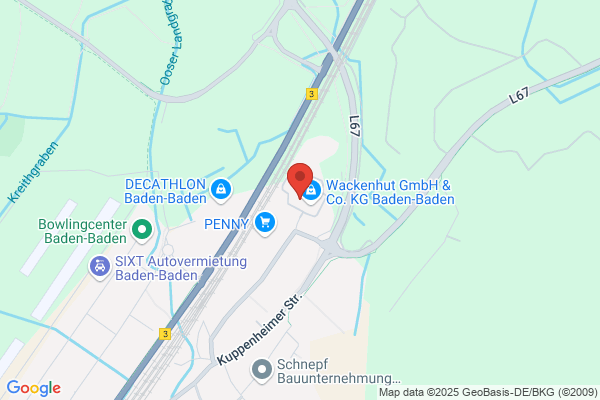 Wackenhut GmbH & Co. KG Baden-Baden Mobility Solutions