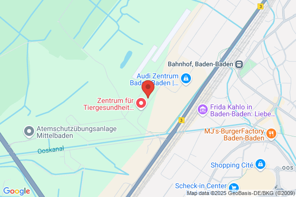 KÜS Kfz-Prüfstelle Baden-Baden - Ingenieurbüro Diel