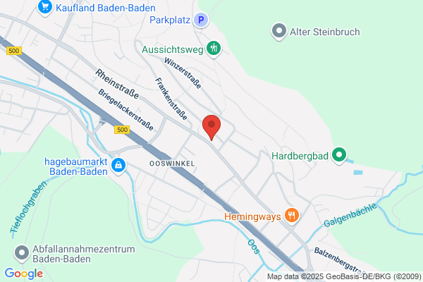 Home Instead (Mittelbaden)