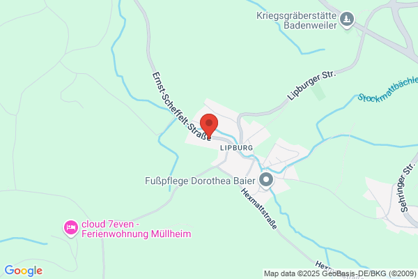 allkauf haus - Kunden-Musterhaus Badenweiler