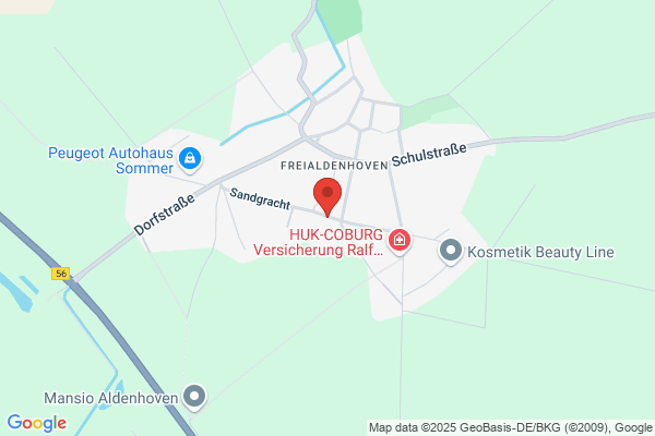 Lemmermeyer