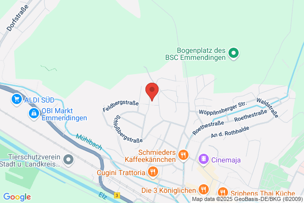 Diana Wiedemann