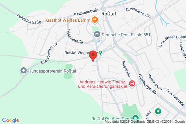 holsterat