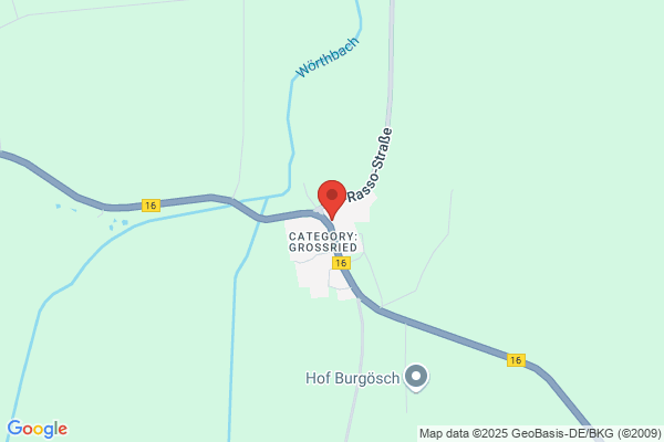 Specht