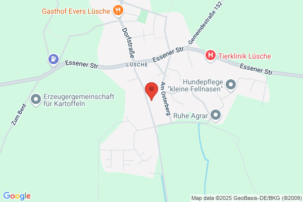 E.B. Bau GmbH