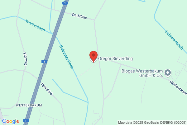 Gregor Sieverding