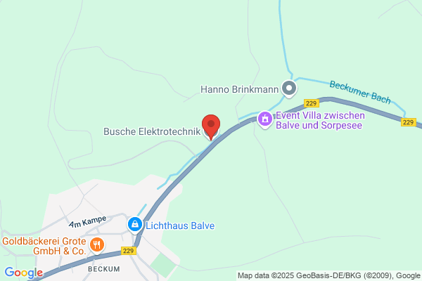 Busche