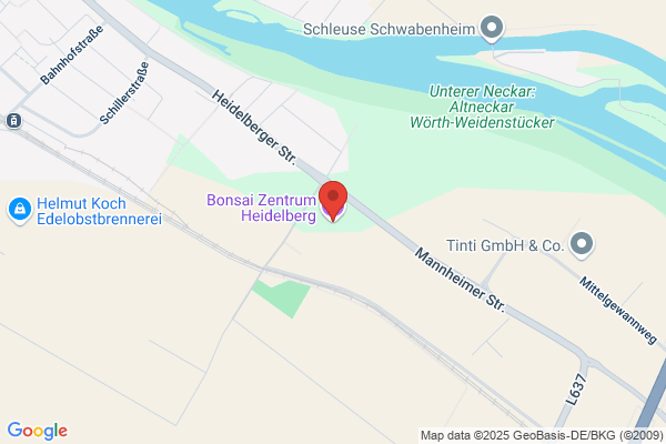 Bonsai-Zentrum