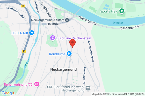 Paracelsus-Apotheke Neckargemünd