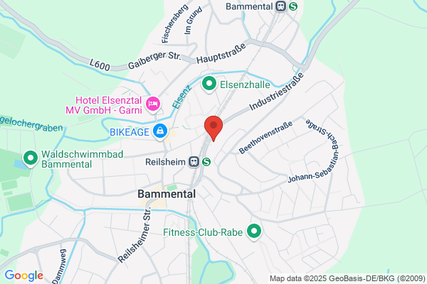 Freiwillige Feuerwehr Bammental