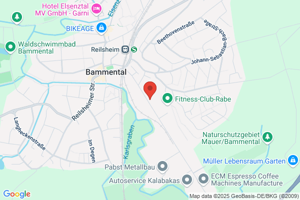 Mesa Bammental GmbH