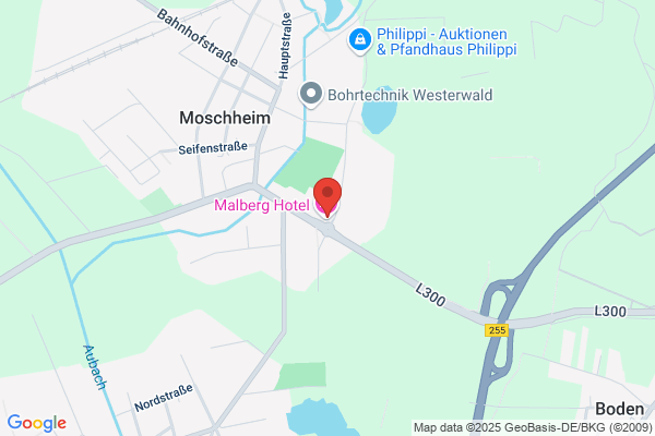 KfZ Service Stelling