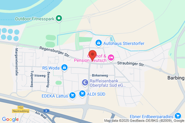 Auto Mahal GmbH