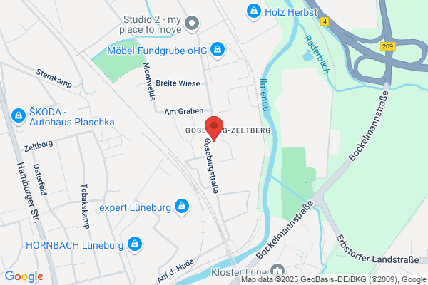 LG Autoglas Service