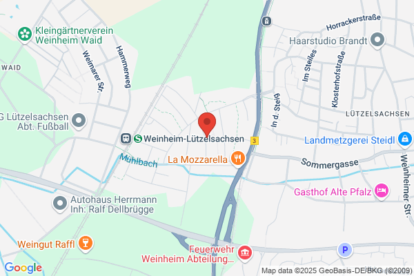 Steinbeis-Transferzentrum Pharmatechnik
