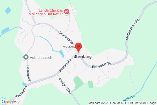 PSt Steinburg