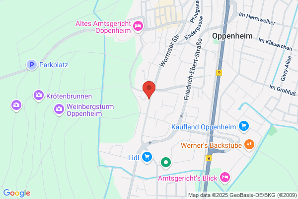 Dufour Lionel GmbH