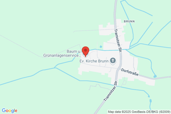 Dörte Baum