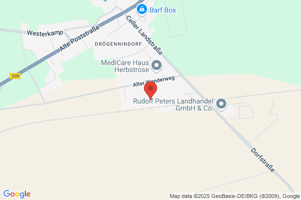 Dach-Cordes GmbH