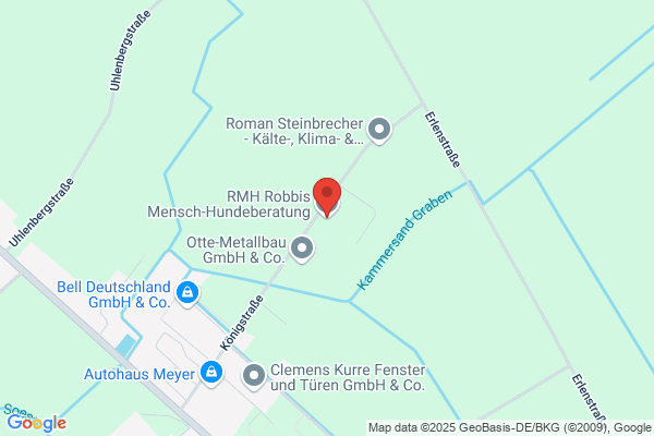 RMH Robbis Mensch-Hundeberatung