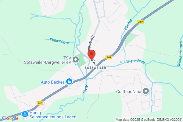 Kachelofen und Kaminbau