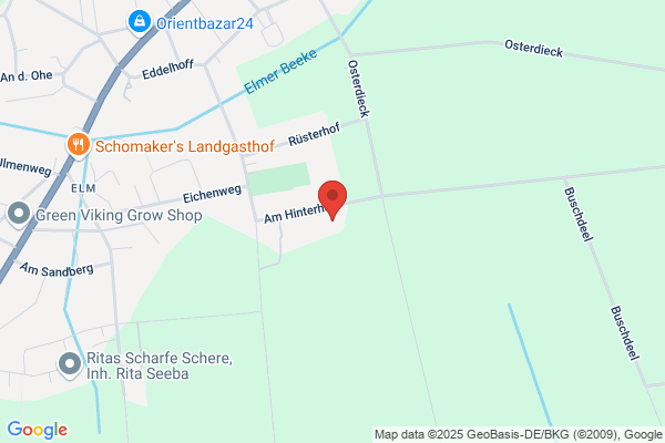 The Cool Traders GmbH & Co. KG