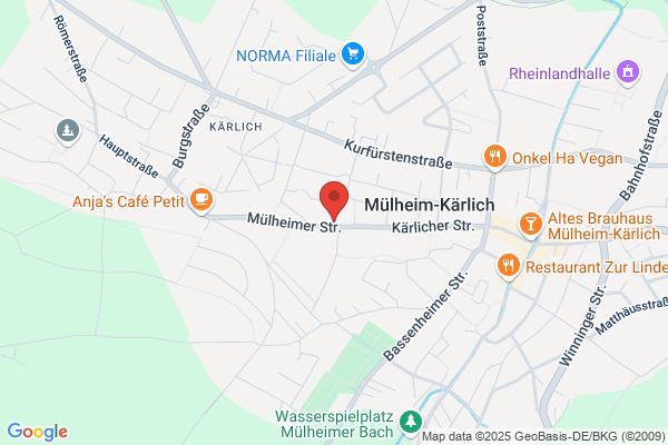 Dipl.-Ing.FH Baum-Dienst Schönau