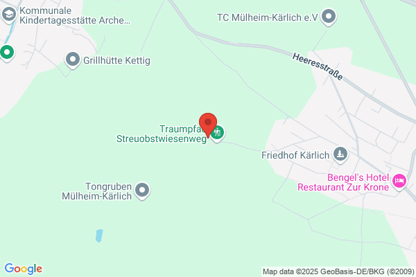Sportplatz Dalfter