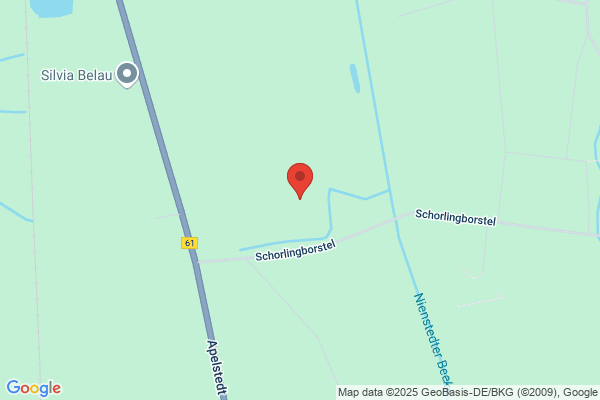 Reni Seniorenbetreuung & -begleitung