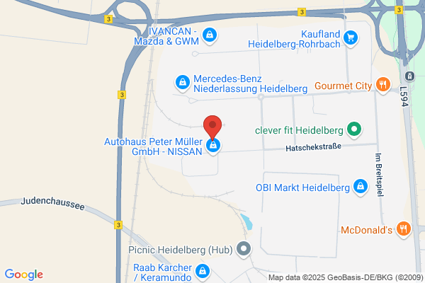 BRN Busverkehr Rhein-Neckar GmbH