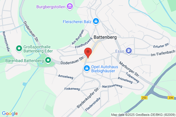 Pales IT-Systemhaus GmbH