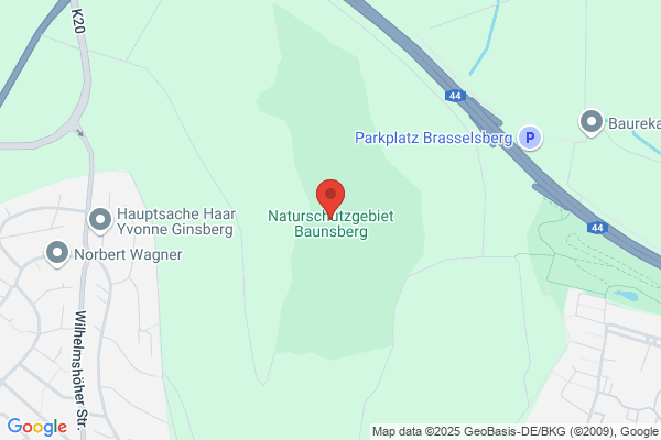 Am Baunsberg