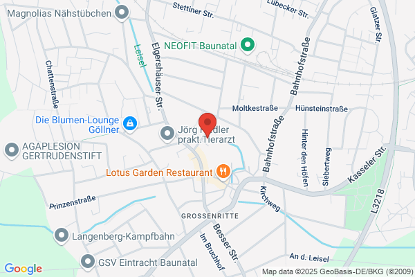 Elektro Bürger
