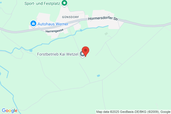 Forstmanagement Werner Welz