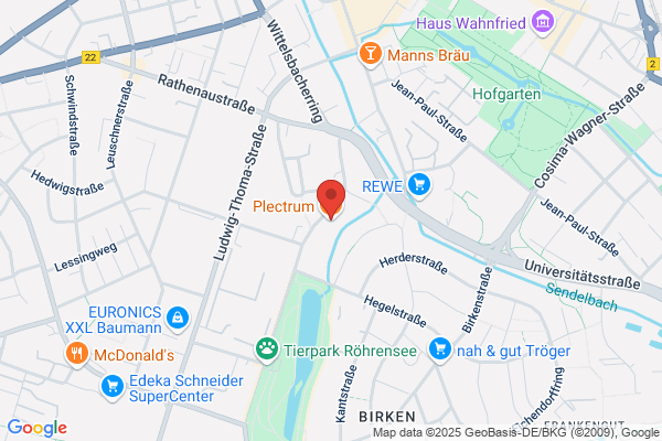 Plektrum