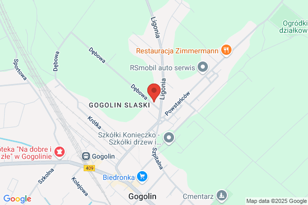 Studio Gogolin