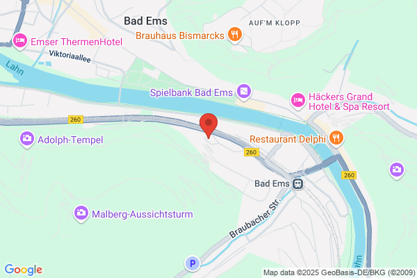 Baumfällung Koblenz